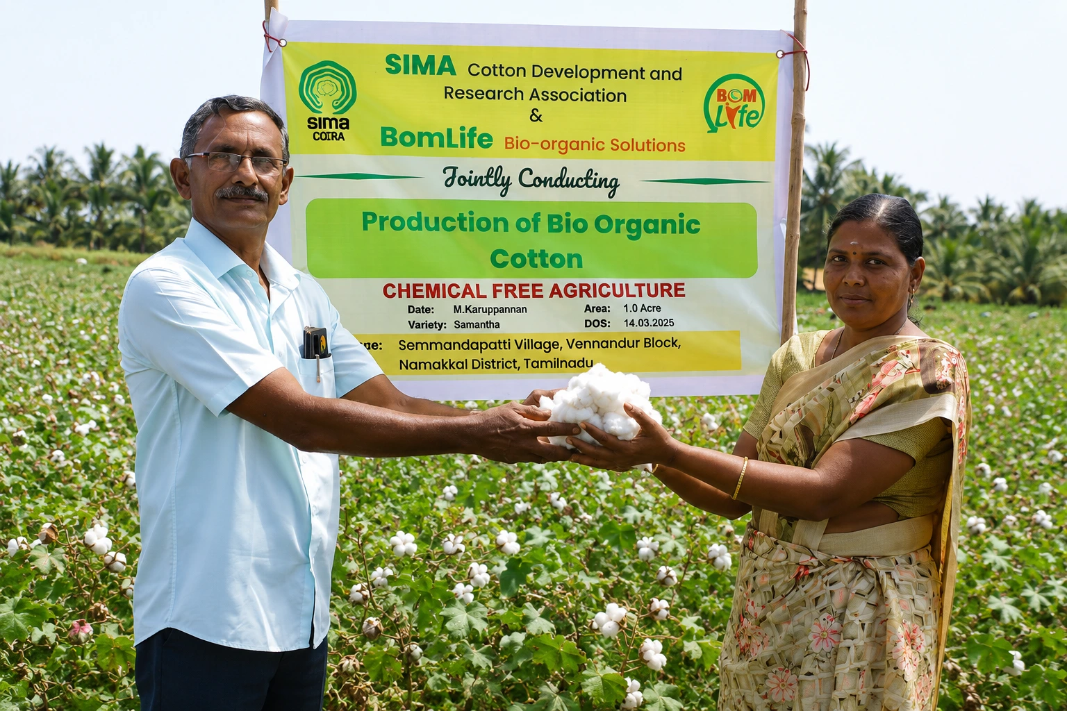 Cotton trial plot conducted with SIMA-CDRA