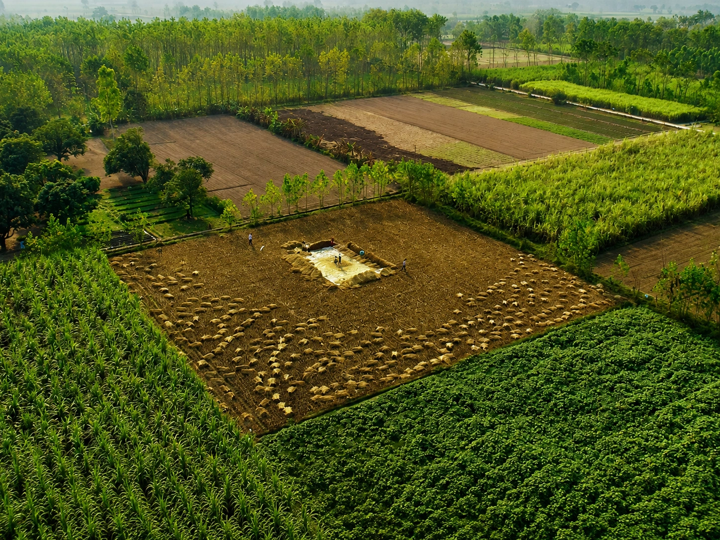 Agricultural results representing a higher return on investment