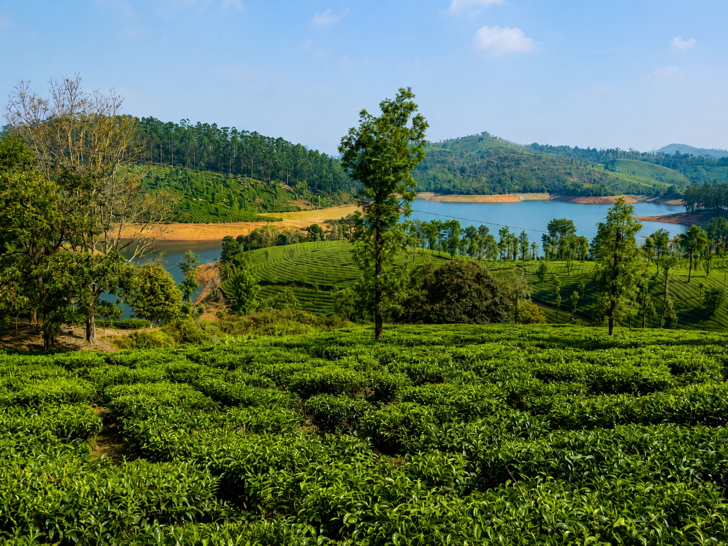 Restored agricultural landscape showing amelioration of Mother Earth