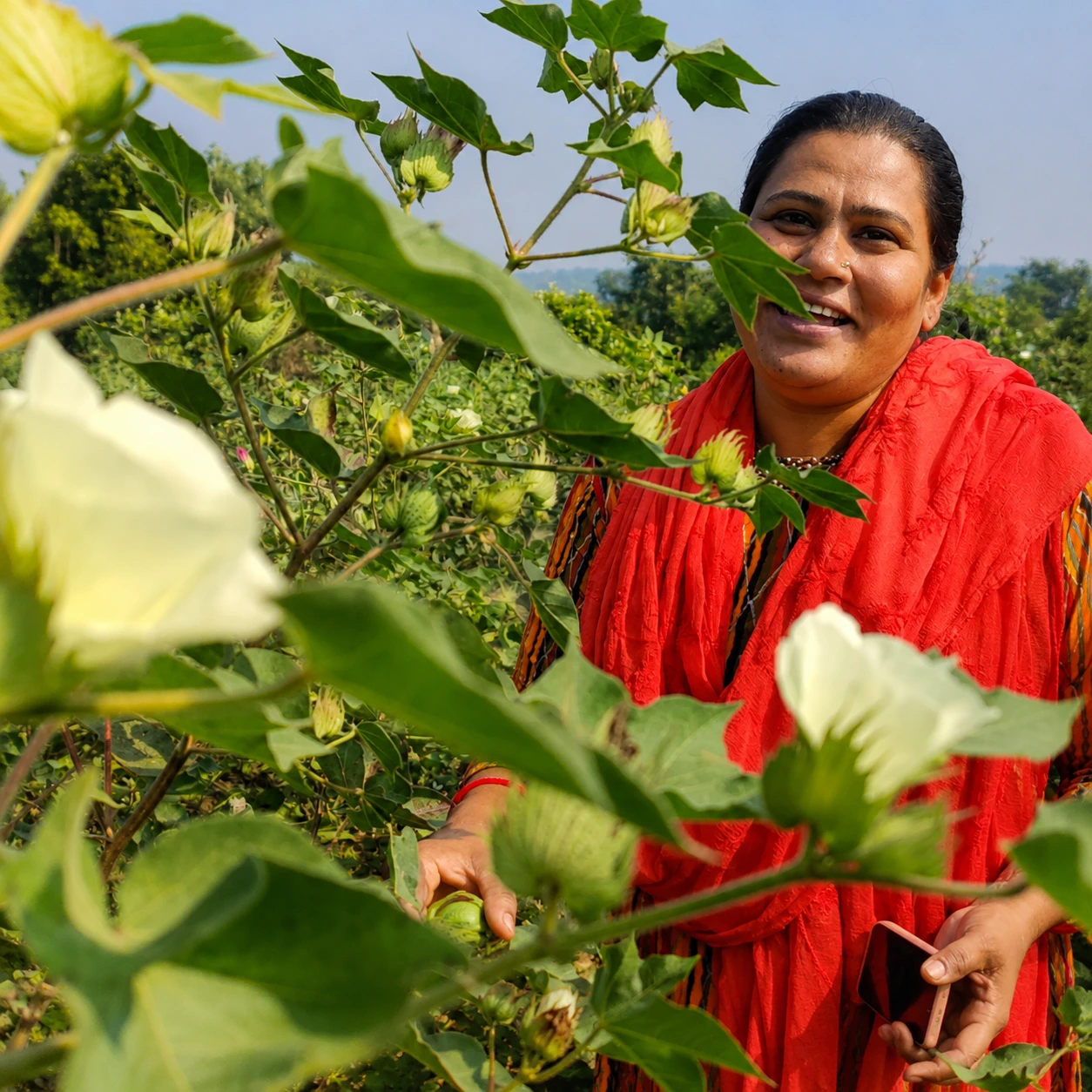 Woman farmer among healthy crops