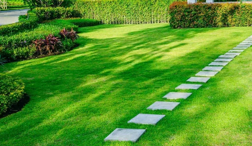 Landscaped ornamental lawn with stepping stones