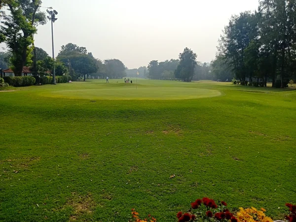 Golf course fairway with maintained natural turf grass