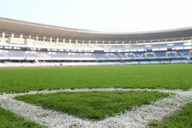 Natural turf grass sports field inside a stadium